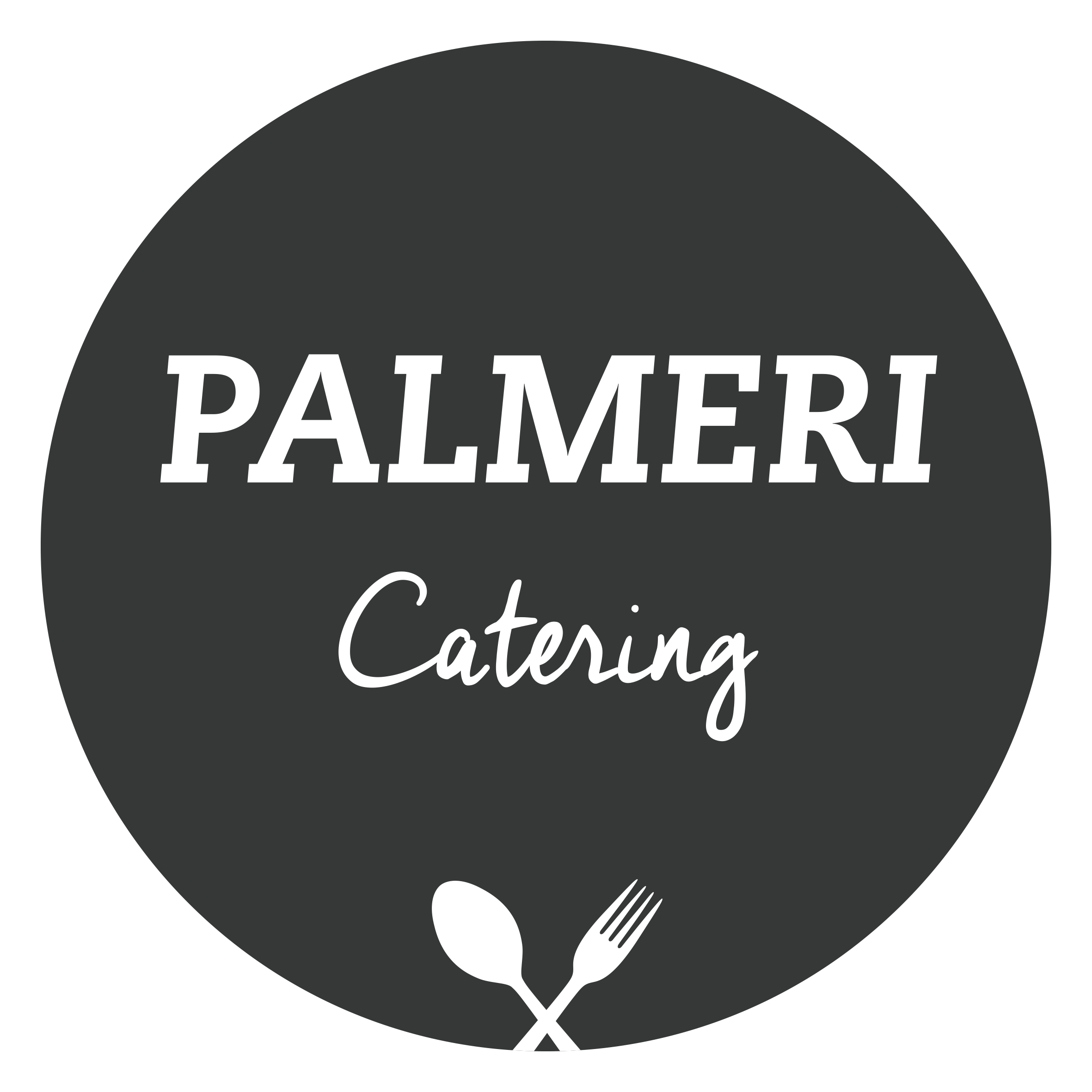 palmeri2014 logo anthrazit