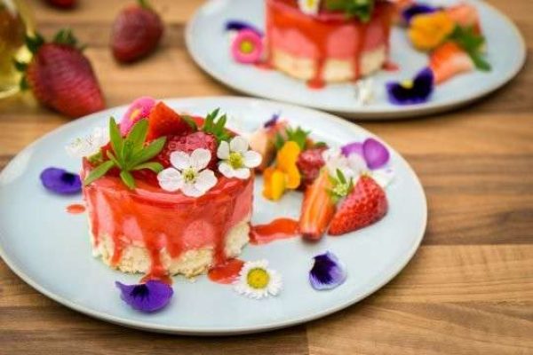 gluecklich catering toertchen 800x800