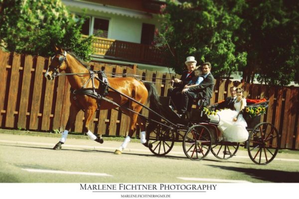 hochzeitskutsche fahren 800x800